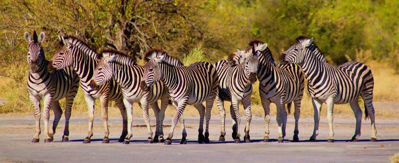 Bachelor of Educational Leadership & Management