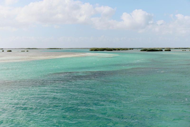 Bachelor of Corporate Communications