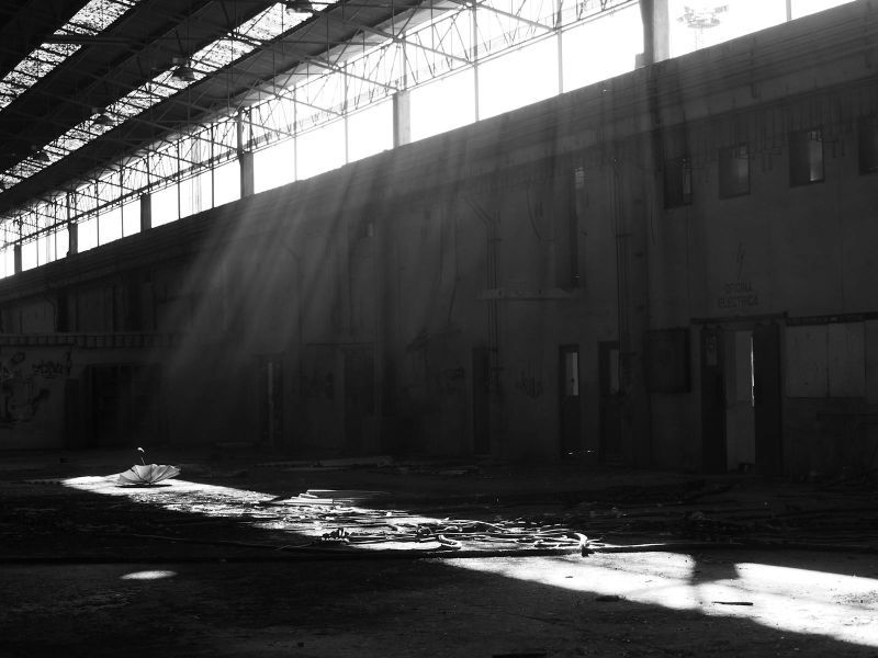 Bachelor of Transport & Mobility