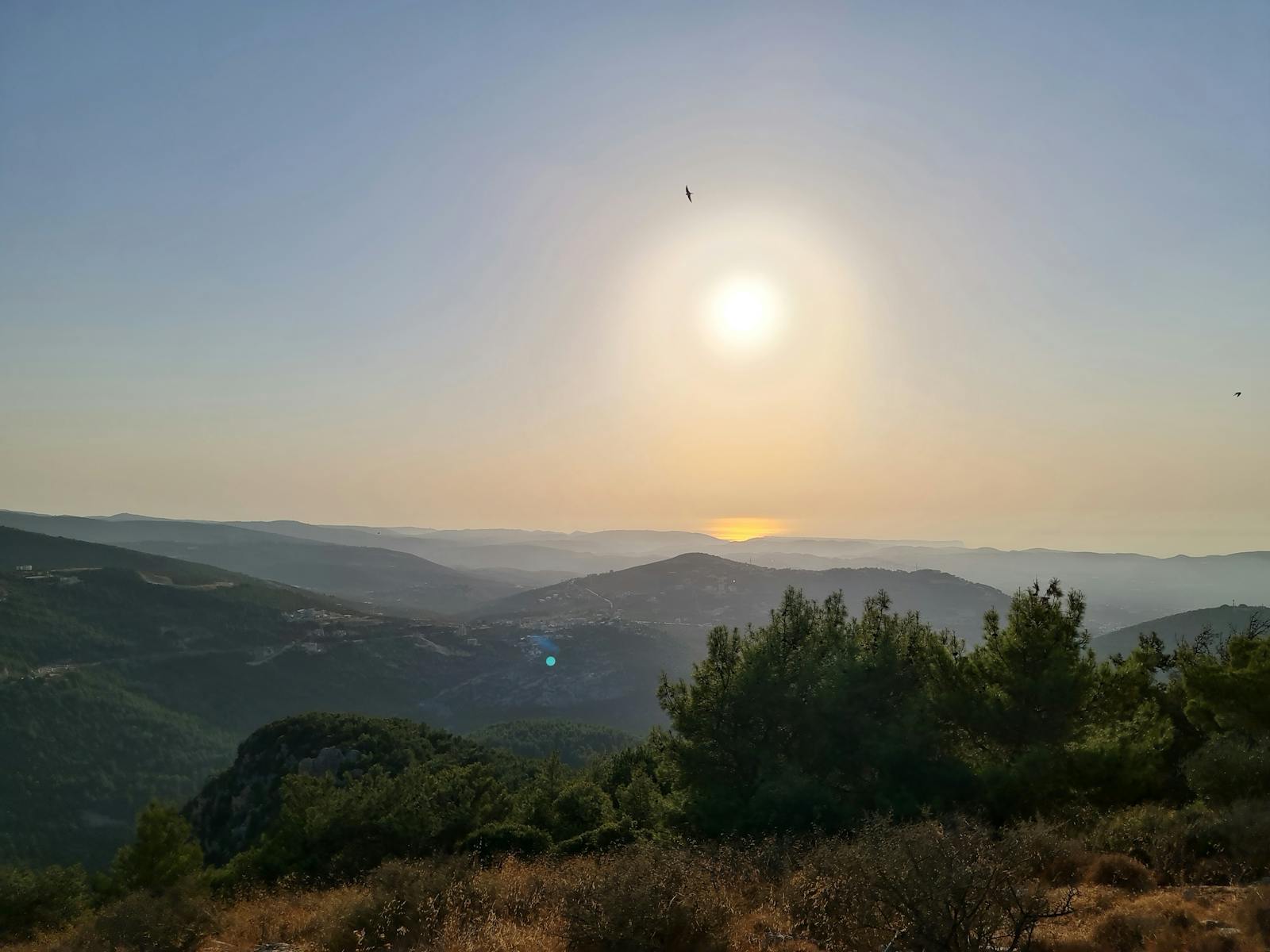 Bachelor of School Librarianship