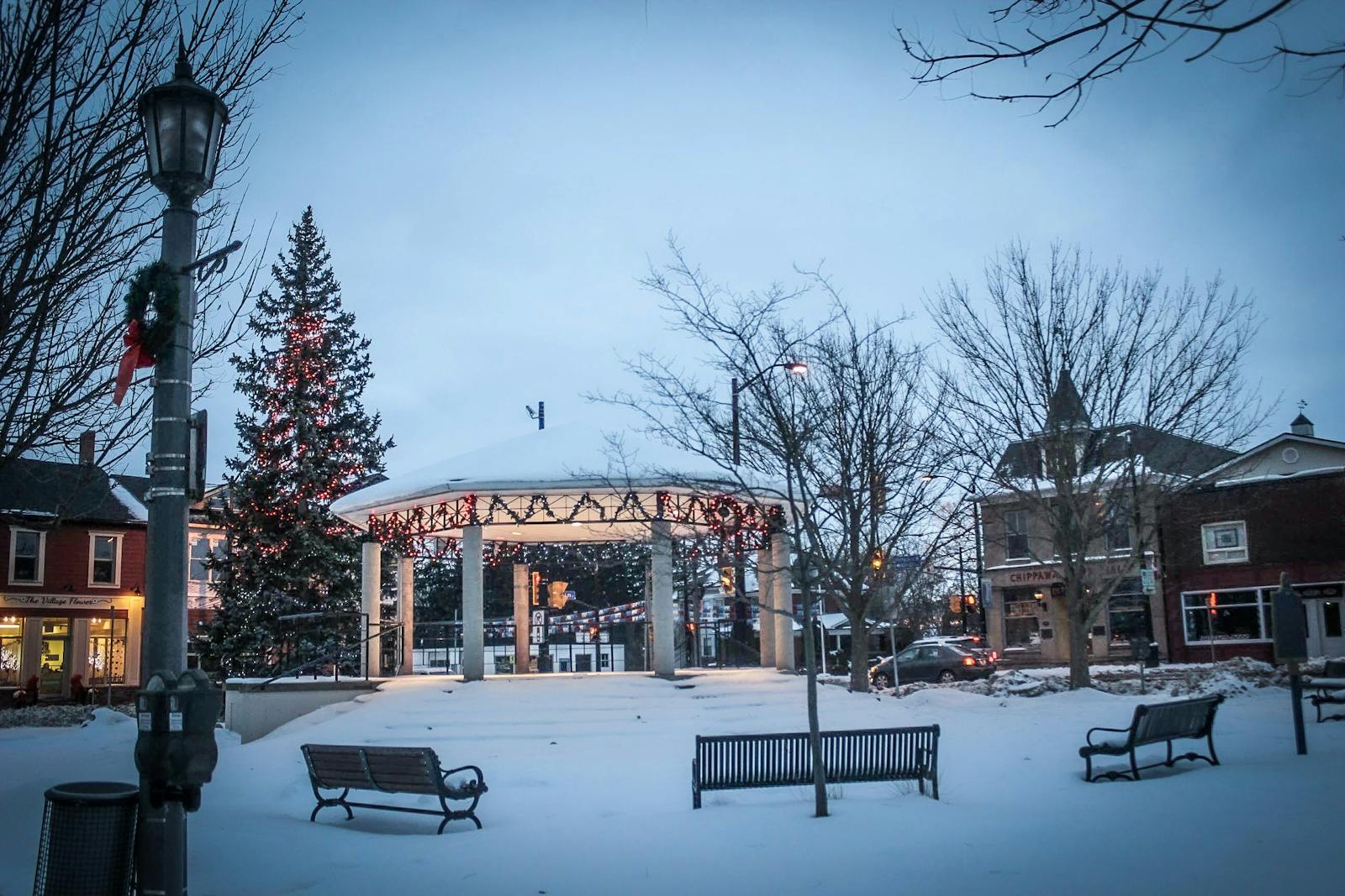 Bachelor of Procurement & Contracts