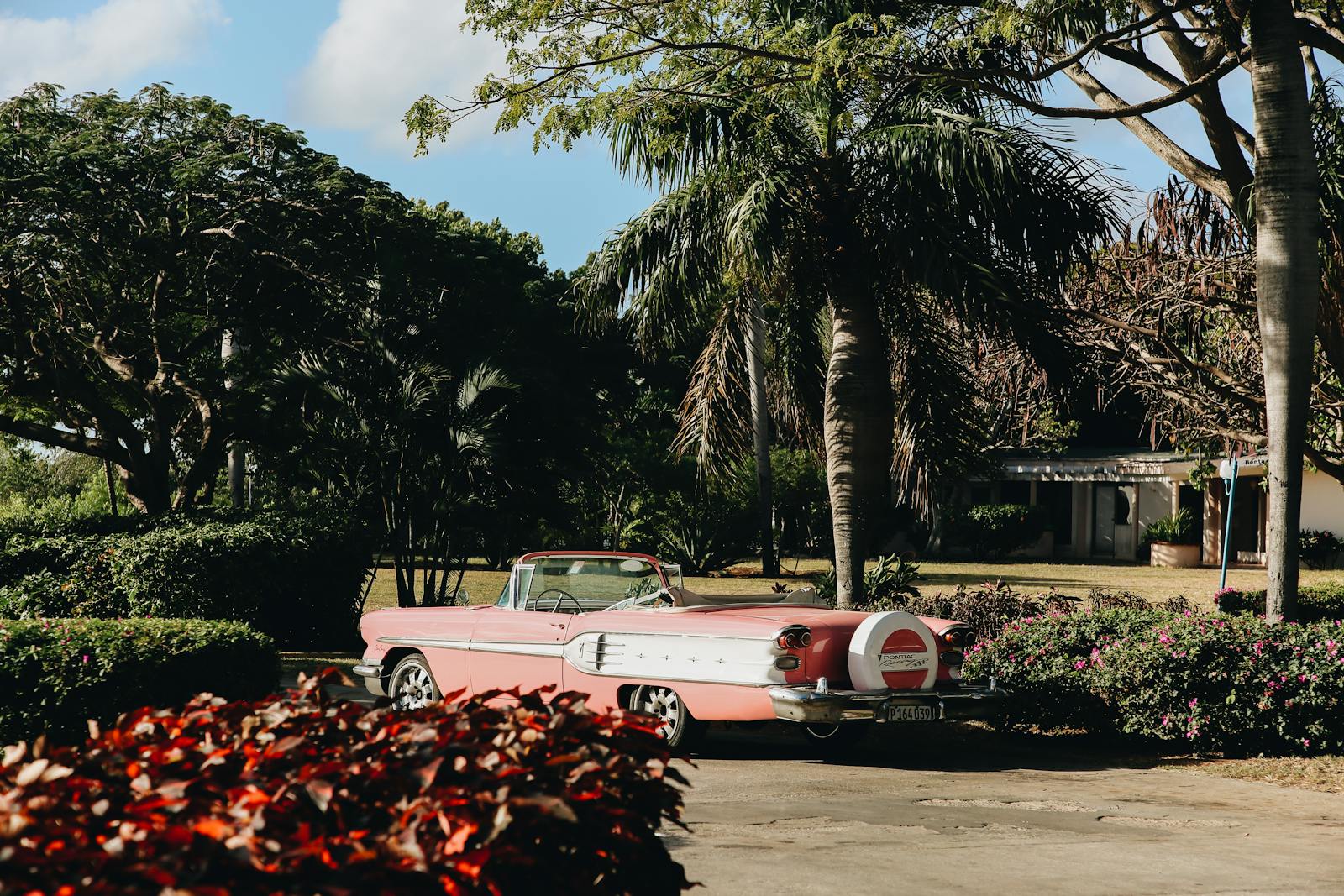 PhD in Risk Management