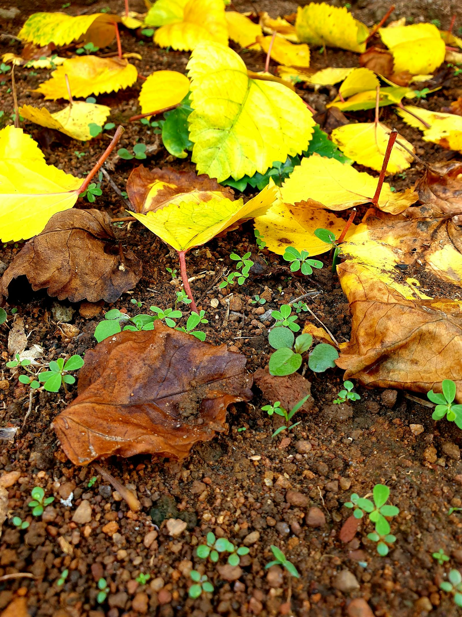 PhD in Cultural Heritage