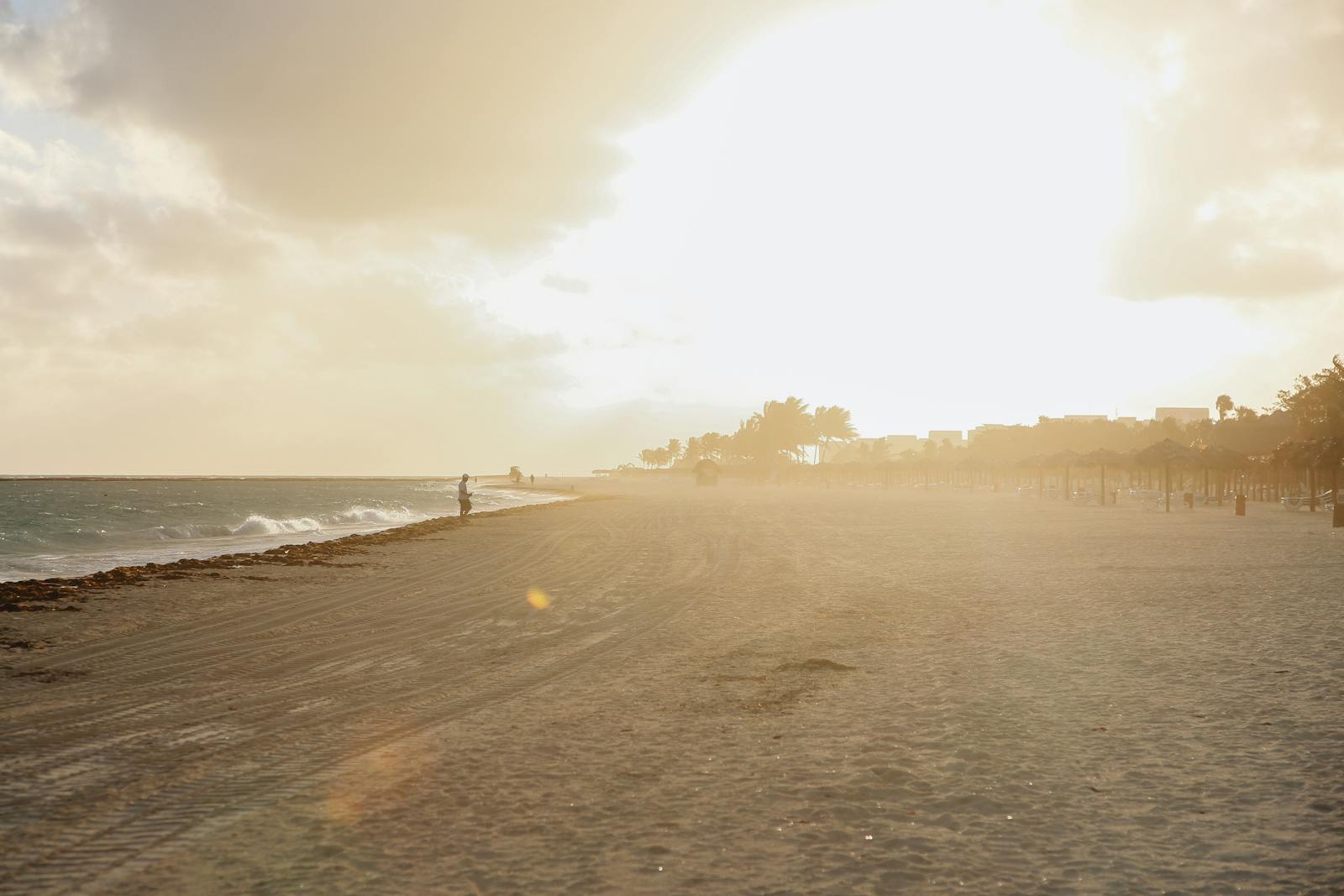 PhD in Museum Studies